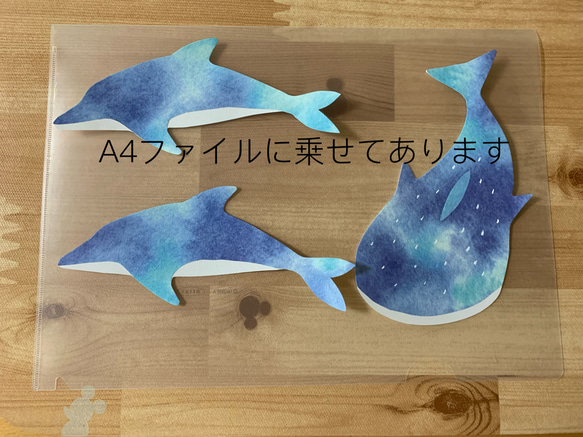 小さな壁面飾り【海の仲間たち】夏　海　クジラ　イルカ　ジンベイザメ 2枚目の画像