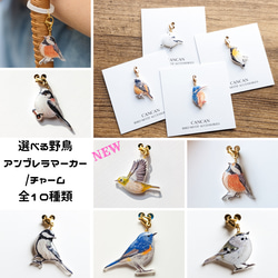 【全10種類！】選べる野鳥のアンブレラマーカー　ファスナーチャーム 1枚目の画像