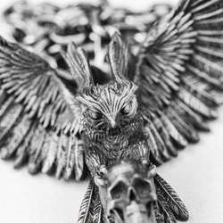 フクロウのペンダントネックレス - スカルペンダント - 翼を持つ動物好き - ゴシックネックレス 3枚目の画像