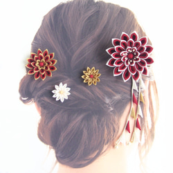 Set of hair ornaments/Flexible arrangement /red,white 第2張的照片