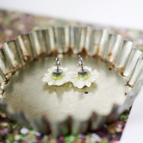 八重のマトリカリア/本物お花のピアス ピアス（スタッド・一粒） schaf 