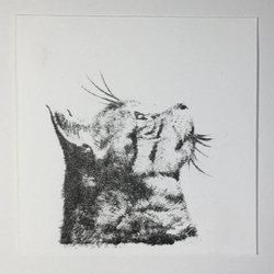 リトグラフ版画「キジトラ猫 no.1」 4枚目の画像