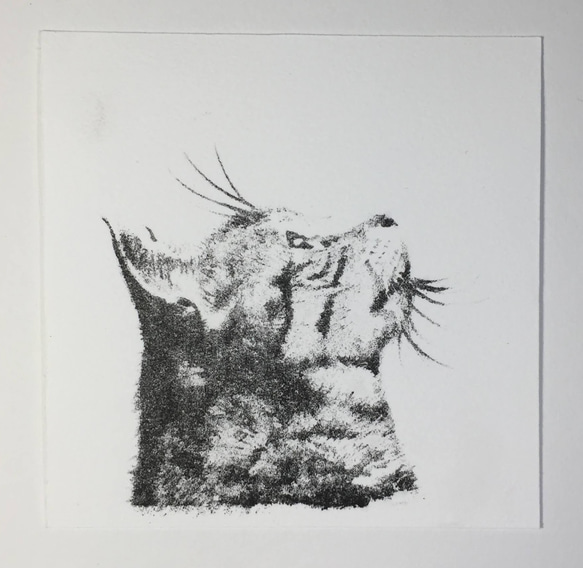 リトグラフ版画「キジトラ猫 no.1」 4枚目の画像