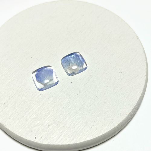 ネモフィラミニピアス / イヤリング / レジン / ドライフラワー ピアス