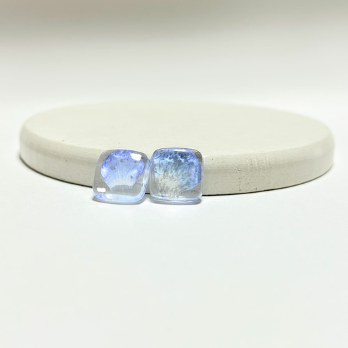 ②小　ネモフィラ　ハンドメイドステンレス製　ポストピアス　ドライフラワー　レジン ネモフィラミニピアス / イヤリング / レジン / ドライフラワー ピアス
