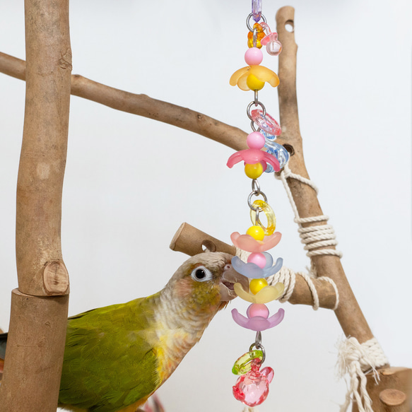 【鳥のおもちゃ】鳥さんのフラワーアレンジメント（小型・中型インコ向け） 11枚目の画像