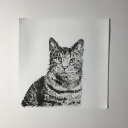 リトグラフ版画「キジトラ猫 no.2」 4枚目の画像