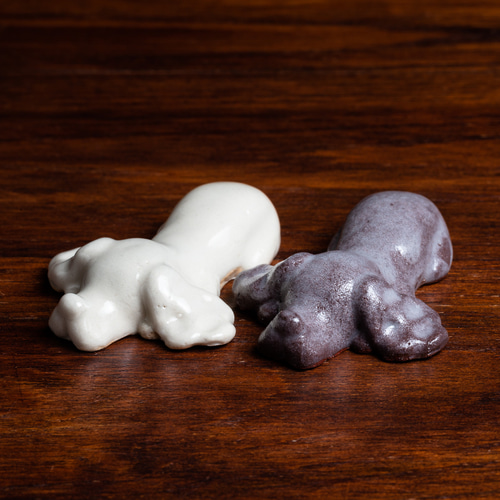 アメリカンコッカースパニエルとイングリッシュコッカースパニエル好き