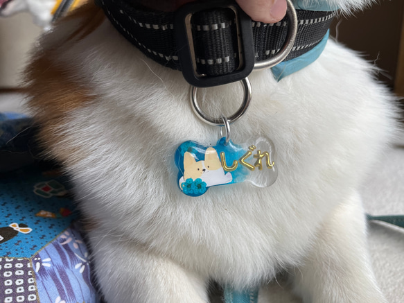 まめぷう様ご確認用♡ 犬用名札 ダックス まめぷう様ご確認