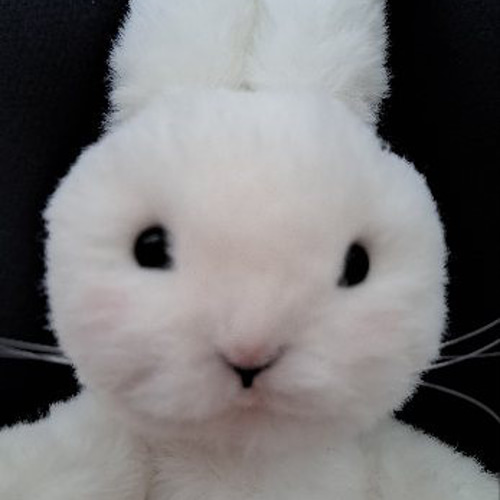 国内作家さま　うさぎちゃん 国内作家さま うさぎちゃん
