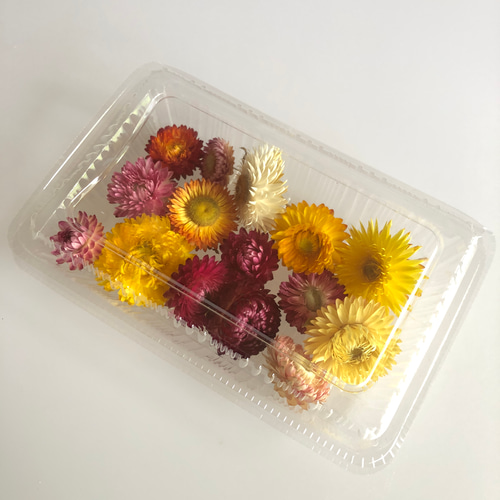 ヘリクリサムのドライフラワーアソート その他素材 hithit26 通販