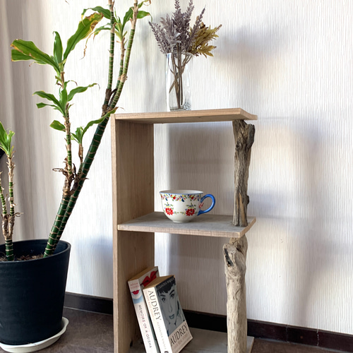 プランタースタンド プランターBOX 植物棚 多肉植物 観葉植物