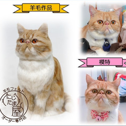 羊毛フェルト「うちの子」オーダー 猫 犬 そっくり ﾘｱﾙ ﾍﾟｯﾄ ｽｺﾃｨｯｼｭ ﾉﾙｳｪｰｼﾞｬﾝ ｱﾋﾞｼﾆｱﾝ 12枚目の画像