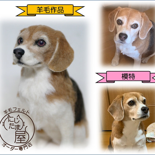 羊毛フェルト「うちの子」オーダー 猫 犬 そっくり ﾘｱﾙ ﾍﾟｯﾄ ｽｺﾃｨｯｼｭ