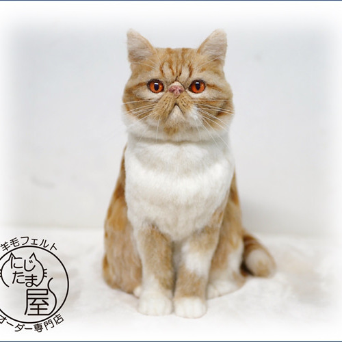 羊毛フェルト「うちの子」オーダー 猫 犬 そっくり ﾘｱﾙ ﾍﾟｯﾄ ｽｺﾃｨｯｼｭ