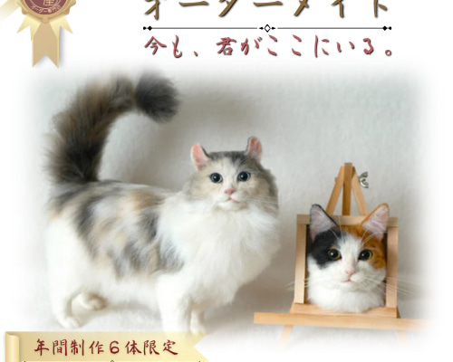 羊毛フェルト しめ縄 うちの仔オーダーページ 羊毛フェルト しめ縄 うちの仔オーダーページ