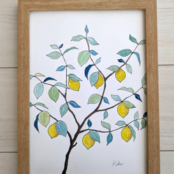 A4サイズ　水彩原画 レモンの木 4枚目の画像