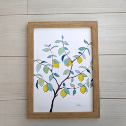 A4サイズ　水彩原画 レモンの木 3枚目の画像