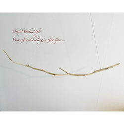 流木インテリア 希少な美しい白い枝の流木のハンガーラック 北欧 衣装掛け ハンギング 吊り下げ ハンガーポール 癒し 5枚目の画像