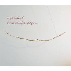 流木インテリア 希少な美しい白い枝の流木のハンガーラック 北欧 衣装掛け ハンギング 吊り下げ ハンガーポール 癒し 6枚目の画像