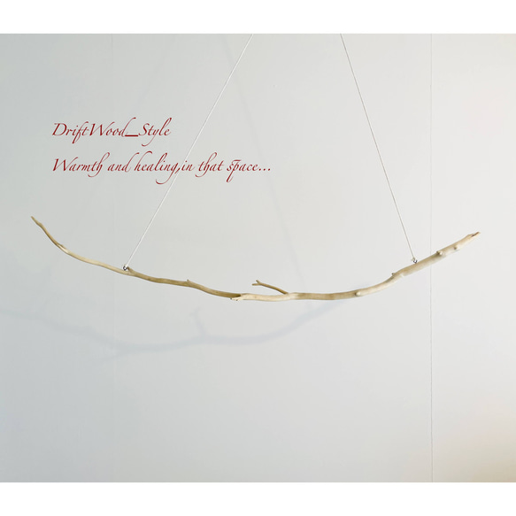 流木インテリア 希少な美しい白い枝の流木のハンガーラック 北欧 衣装掛け ハンギング 吊り下げ ハンガーポール 癒し 6枚目の画像