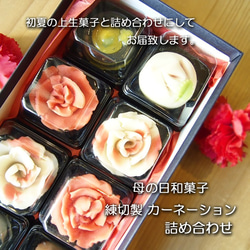 和菓子のカーネーション アマビエ 季節の上生菓子詰め合わせ 6個入り オリジナルポストカードつき 母の日ギフト 5枚目の画像