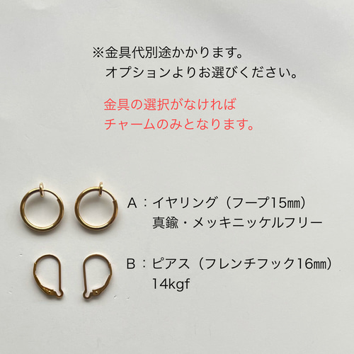 再販】【特集掲載】フープ 着せ替えチャーム/ピアス/イヤリング