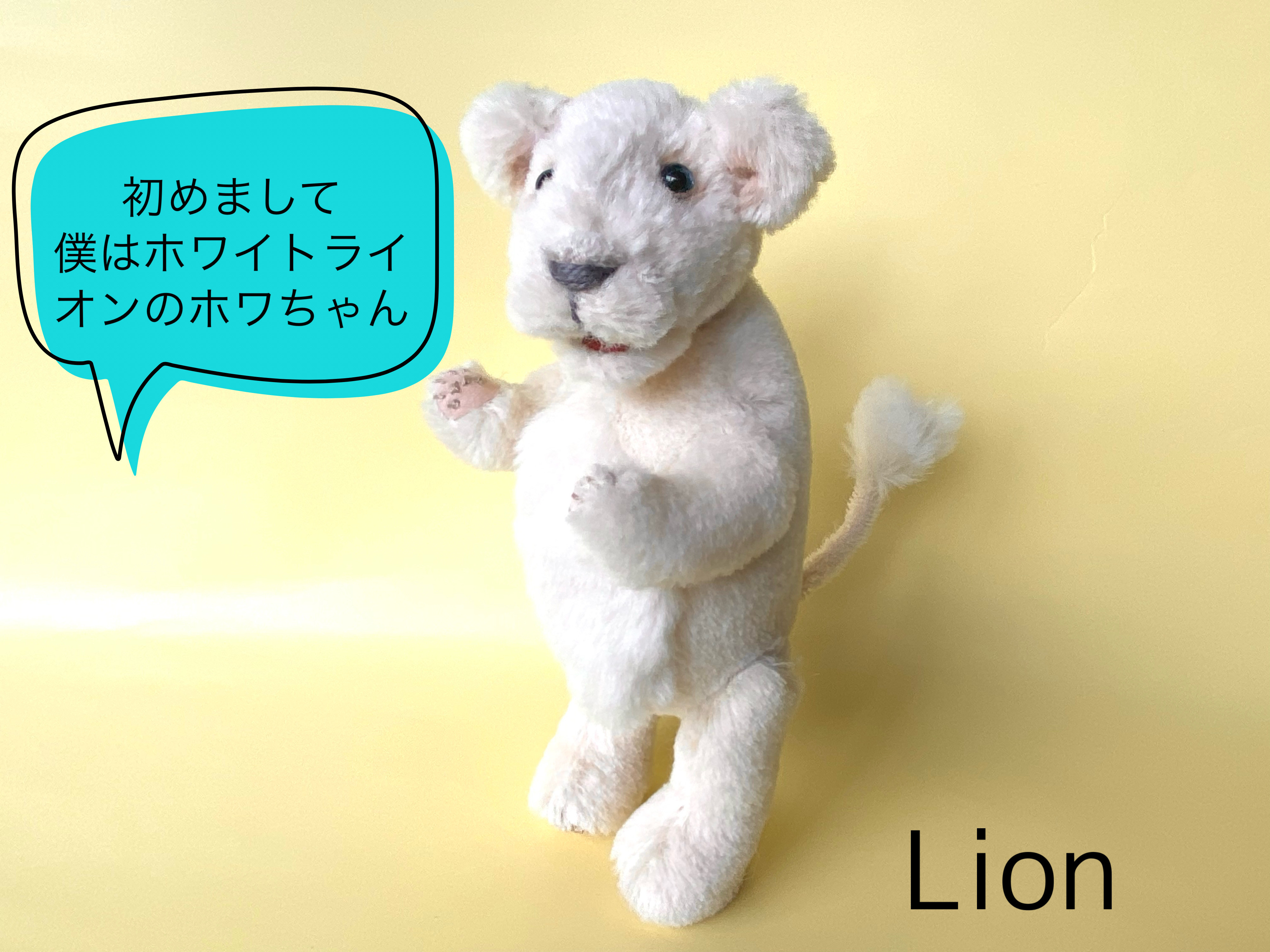 ホワイトライオンの赤ちゃん(26cm) ぬいぐるみ kmariko 通販 ホワイトライオンの赤ちゃん(26cm) ぬいぐるみ kmariko 通販