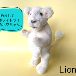 308eda99d9f69f1eff1d4cd58c179f