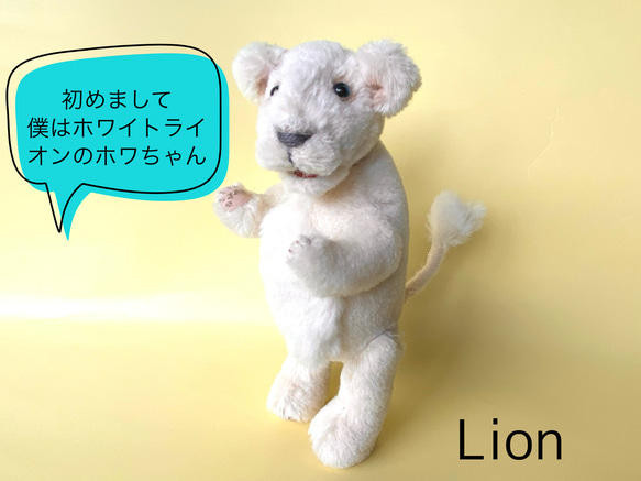 ホワイトライオンの赤ちゃん(26cm) ぬいぐるみ kmariko 通販