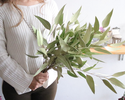 ドライフラワー　ユーカリ リーフ② ユーカリ蕾付き小枝 ドライフラワー | ドライ素材/ドライリーフ