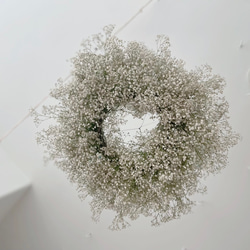 flying wreath かすみ草 紫陽花 フライングリース  カスミソウ リース ナチュラル 6枚目の画像