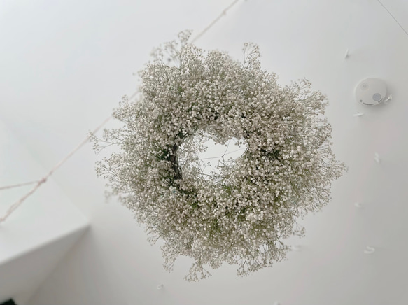 flying wreath かすみ草 紫陽花 フライングリース  カスミソウ リース ナチュラル 6枚目の画像