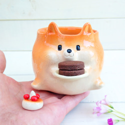 柴犬ケーキ大好きマグカップ３００ｍｌ　犬の陶器　受注後の制作となります 5枚目の画像