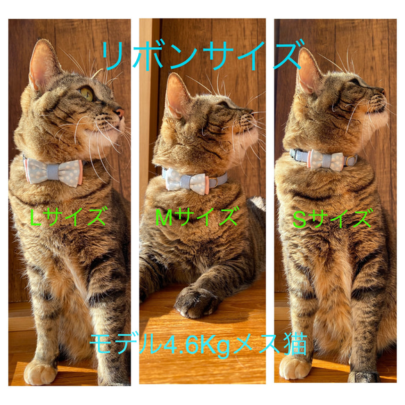 猫首輪　花柄　リバティ　リボン　ブルーグレー　セーフティバックル　子猫から大きい成猫まで3サイズ展開 6枚目の画像