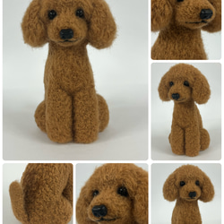 ハンドメイド　オーダー受付ページ　♡浜辺のわんこ　トイプー　シーズー　パネル♡ ハンドメイド オーダー受付ページ ♡浜辺のわんこ トイプー