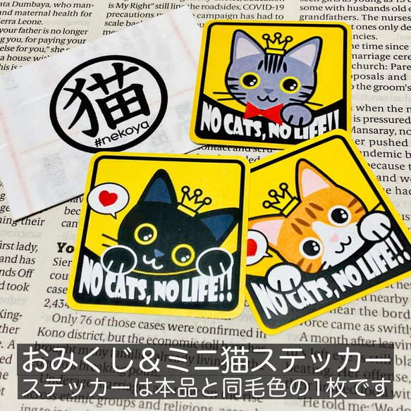 【アメショ】大切な猫がいます四角ステッカー5y 2枚目の画像