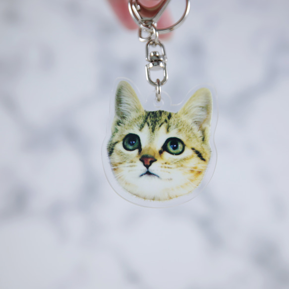 客製禮物 可印刷名字 壓克力 鑰匙圈 紀念 貓 狗 人像 情人 寵物 第4張的照片