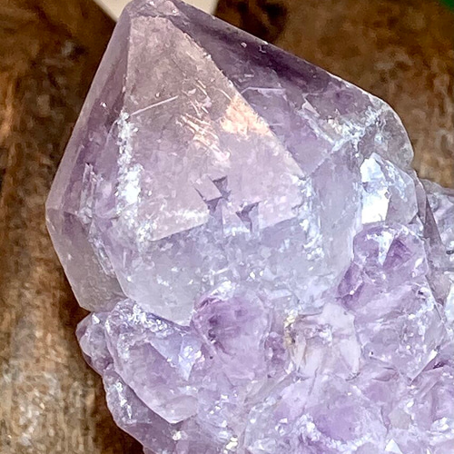 トライゴーニック✨虹入り カクタスアメジスト サボテン水晶 ラフ 