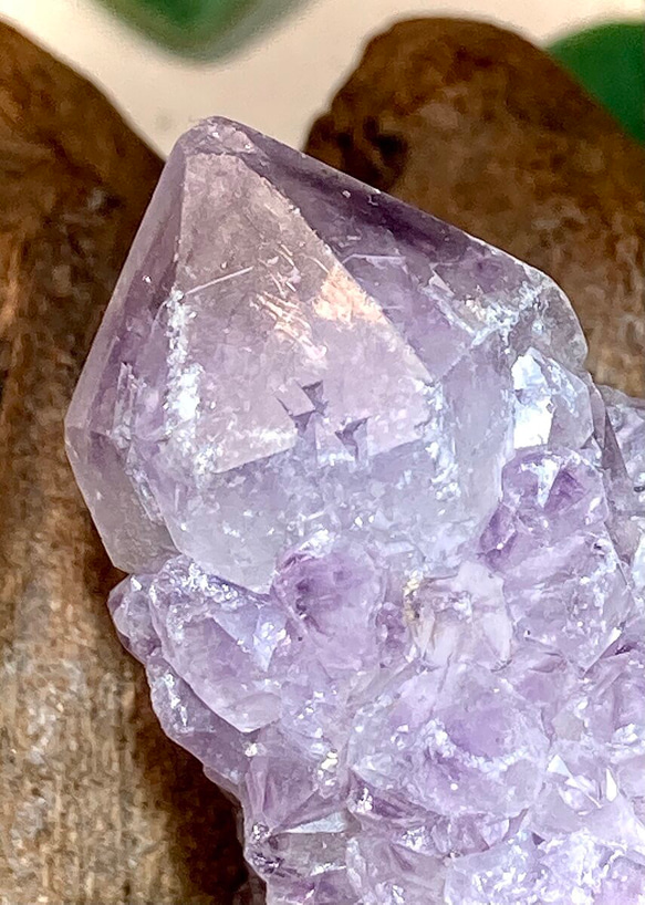 トライゴーニック✨カクタスアメジスト　サボテン水晶　ラフストーン　原石 Amazon.co.jp: トライゴーニック カクタスアメジスト サボテン水晶