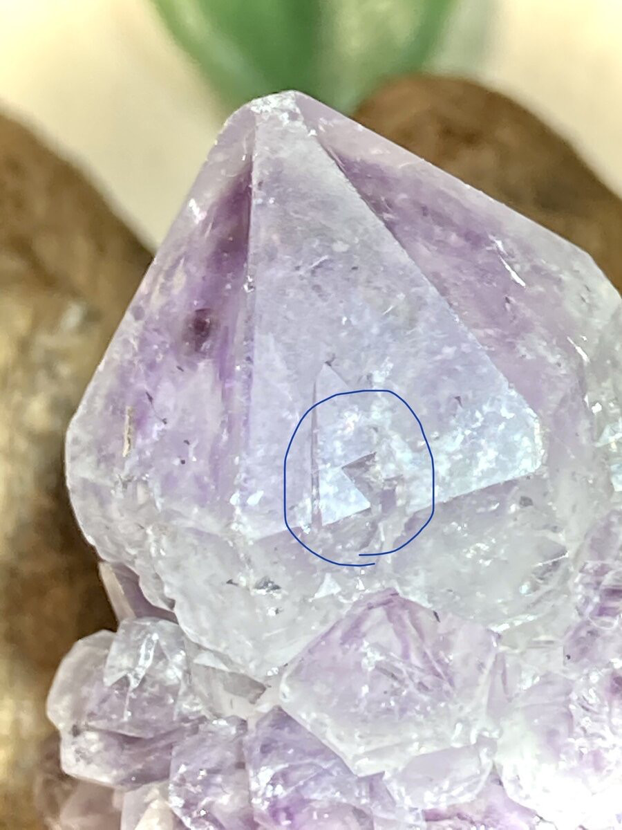 トライゴーニック✨虹入り カクタスアメジスト サボテン水晶
