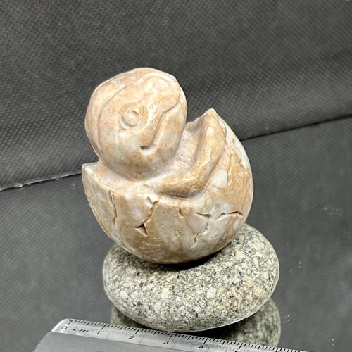 天然珊瑚 本珊瑚 帯留め ルース 珊瑚彫刻 宝石珊瑚 鳳凰花鳥