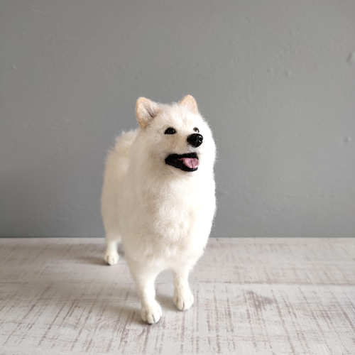 羊毛フェルト 犬 サモエド 羊毛フェルト masapan 通販 17833210