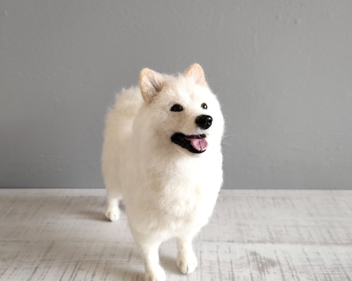 【羊毛フェルト】サモエド 犬 78397f0c8c1717d20b8e387d079c5b