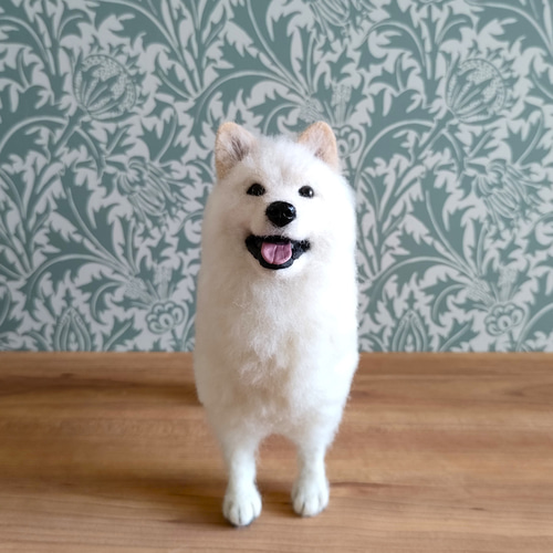 羊毛フェルト サモエドさん 羊毛フェルト 羊毛わんこ 福や工房