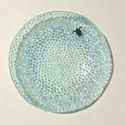 【ガラス】海の大皿〈ウミガメ〉 1枚目の画像