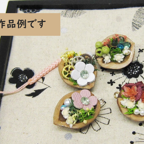 クルミの殻(穴あき2mm)・5個】半割り・アクセサリーや小物 クルミの殻(穴あき2mm)・5個】半割り・アクセサリーや小物