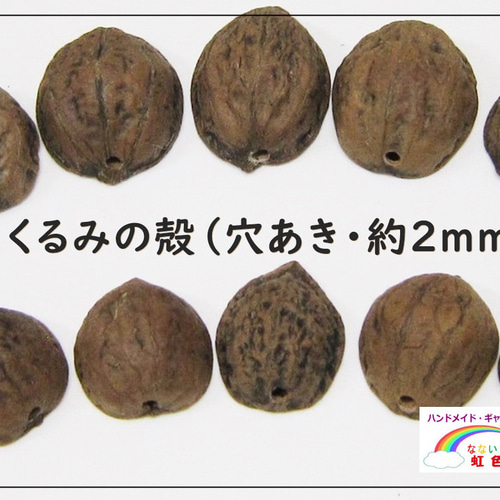 クルミの殻（穴あき2mm）・5個】半割り・アクセサリーや小物作りに