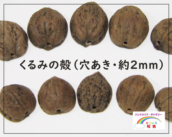 クルミの殻(穴あき2mm)・5個】半割り・アクセサリーや小物 クルミの殻(穴あき2mm)・5個】半割り・アクセサリーや小物