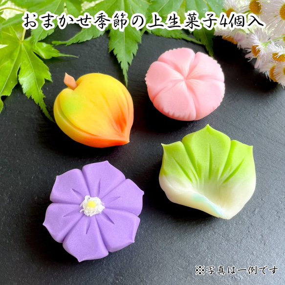 【送料無料】おまかせ季節の上生菓子4個入り 誕生日 プレゼント 贈答 ギフト 手土産 和菓子 練り切り 本格派 高級 1枚目の画像